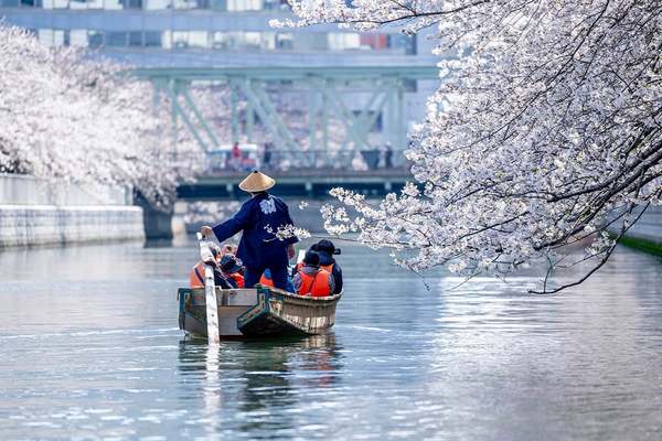 船から見るか、橋から見るか。護岸から見るのもオツな江戸情緒あふれる水上花見