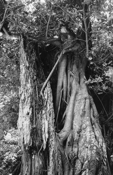 ライカギャラリー東京20周年記念写真展「Timeless Vision」