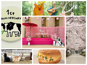 グランドオープン1周年！那須千本松牧場はお花見に動物ふれあいに牧場グルメに大満足！【東北自動車道 西那須野塩原ICから約1km】