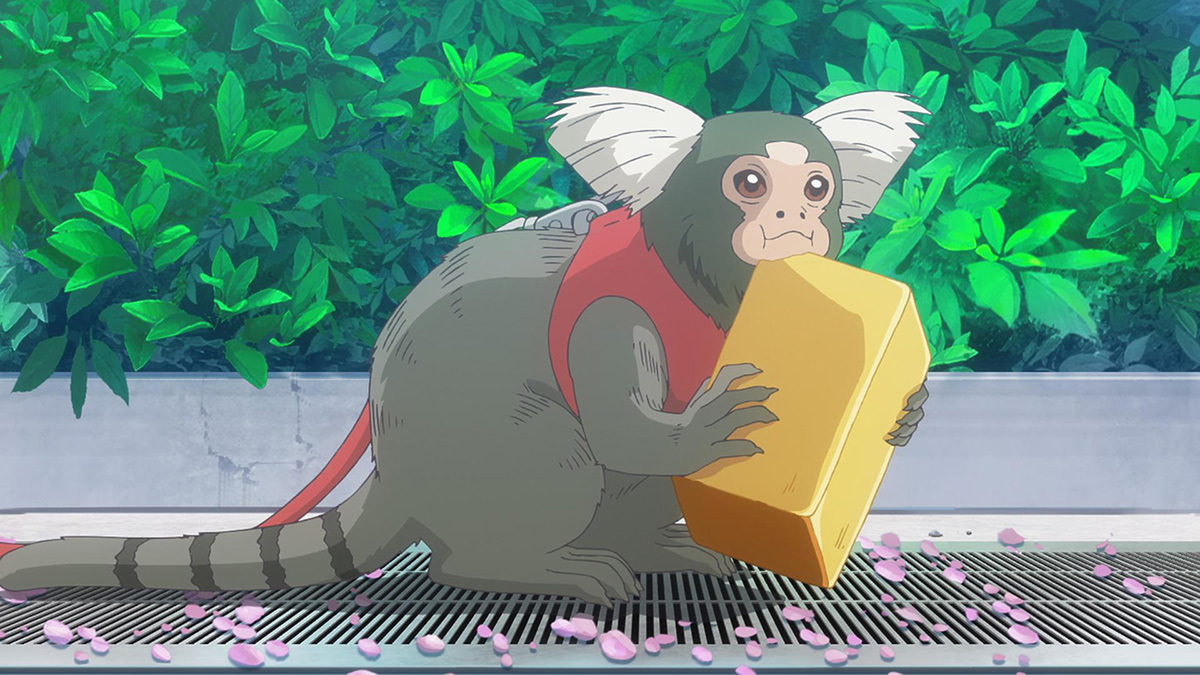 『霧尾ファンクラブ』