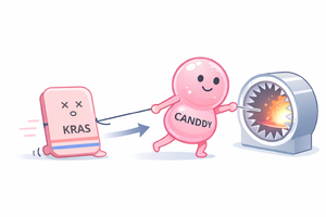 薬はなぜ効かなくなるのか。原因タンパク質を分解する「CANDDY」という試み 薬はなぜ効かなくなるのか。原因タンパク質を分解する「CANDDY」という試み