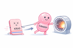 薬はなぜ効かなくなるのか。原因タンパク質を分解する「CANDDY」という試み