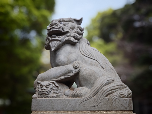 「Leica Leitzphone powered by Xiaomi」実機レビュー