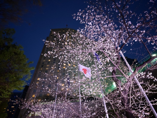 「Leica Leitzphone powered by Xiaomi」実機レビュー