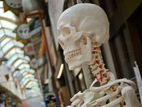 「Leica Leitzphone powered by Xiaomi」実機レビュー