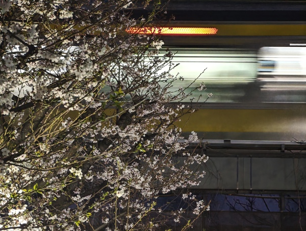 「Leica Leitzphone powered by Xiaomi」実機レビュー