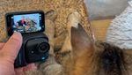 警戒心の強い猫も油断する!? 約53gの超小型カメラ「insta360 GO Ultra」で撮る猫の素顔