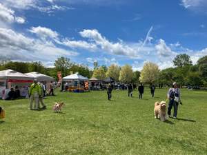 愛犬と一緒に遊びまくれるドッグフェス！ドッグマラソンも楽しそう♪【東北自動車道 宮城川崎ICより車で約4km】