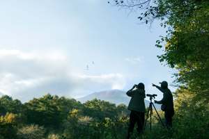 専門家と巡るバードウォッチング体験、贅沢すぎじゃない！？【上信越自動車道 碓氷軽井沢ICから約14km】