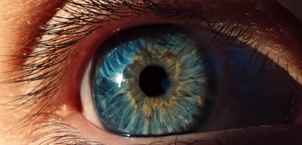 GoProがプロ向けアクションカム「MISSION 1」電撃発表