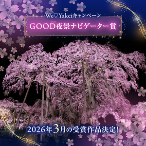 3月のGOOD夜景ナビゲーター賞が決定しました！【We♡Yakeiキャンペーン】