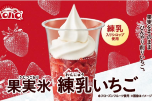 おいしいやつ！ ハロハロ「果実氷」が今年も来た