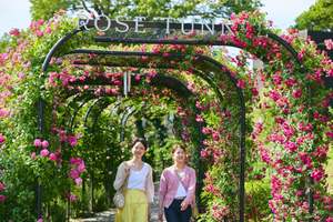 バラってこんなに綺麗なんだ…春バラフェアで優雅に過ごしたい【常磐自動車道 土浦北ICから約12km】