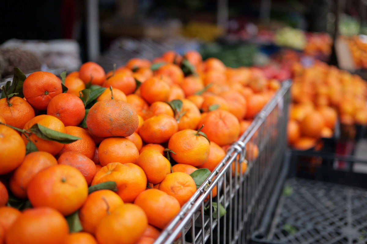 パナソニックが「LUMIX S 40mm F2（S-S40）」を発表