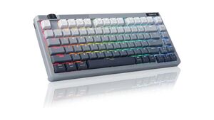 75％レイアウト＆多機能＆銀軸のゲーミングキーボードを発見！ テンキーレスデビューに最適かも？