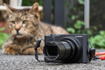 パナソニック「DC-TX3」はスマホと一眼の間をいい感じに埋めてくれる本格猫撮りコンデジだ！