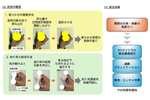 むにっ、ねばっ…　NTT、柔らかさと粘り気を伝えるAR技術