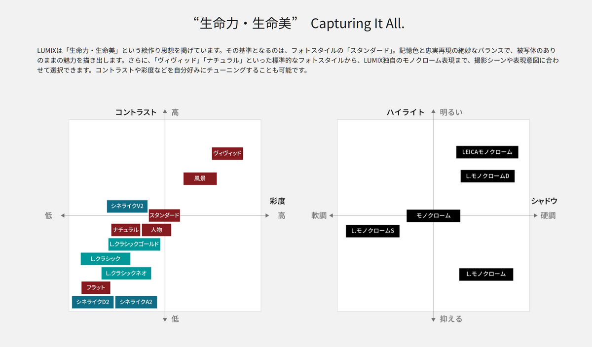 「LUMIX DC-L10」を発表