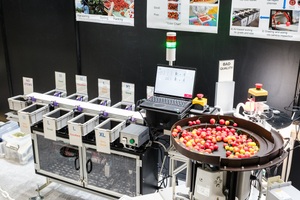 食料安全保障は“畑の土”から。水不足と土壌改善に挑む農業技術