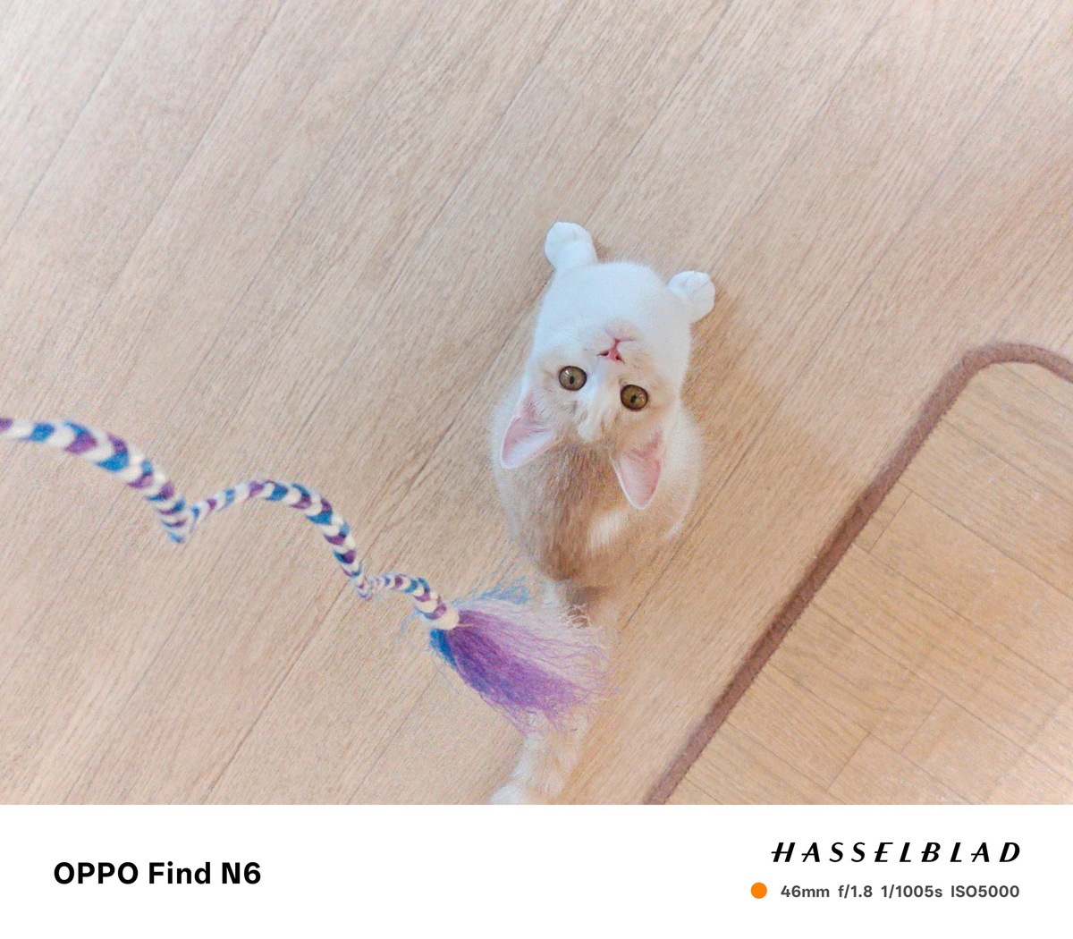 OPPO