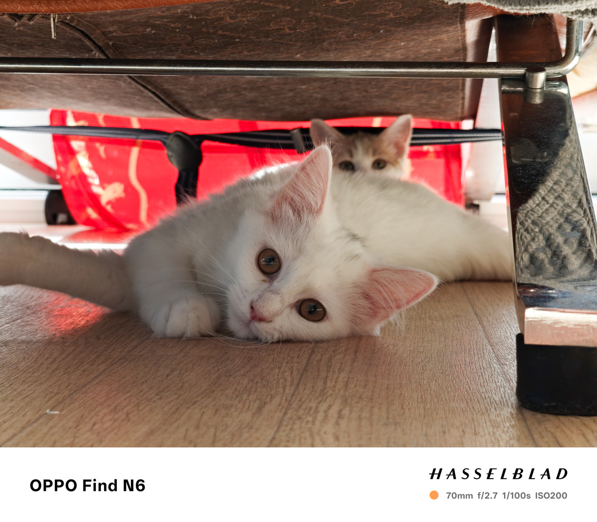 OPPO