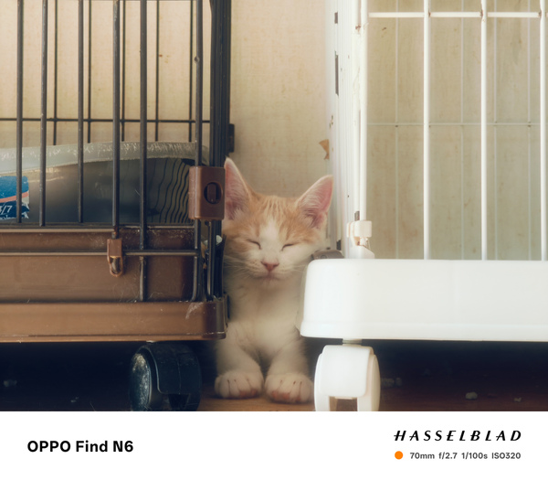 OPPO