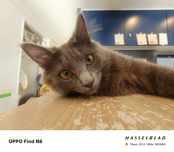 OPPO