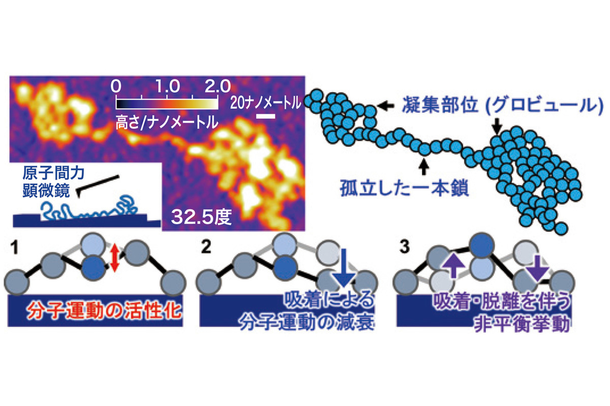 ASCII.jp：異なる材料同士をつなぐ接着剤の高性能化を見据え、界面分子