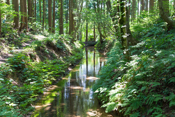 南原穴堰