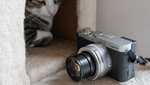 単焦点コンデジはもう古い!? ズーム搭載の最新LUMIX「L10」が猫撮影の常識を覆す