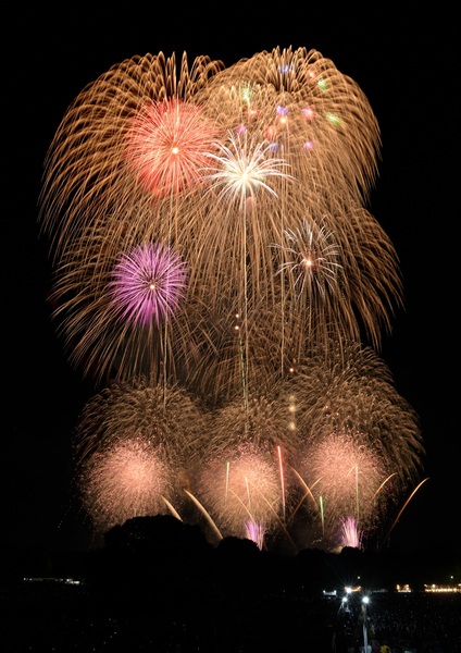 立川の夏の風物詩、国営昭和記念公園花火大会が7月25日に開催！　新しくなった観覧エリア＆チケット情報も
