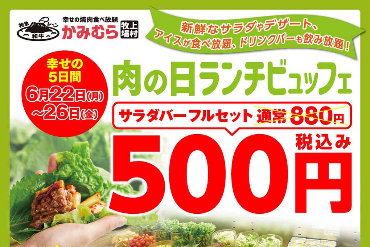 500円で楽しめるサラダとアイスの食べ放題