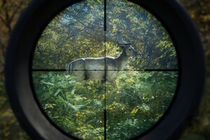 【90％オフ】究極にリアルな狩猟ゲームがたったの“230円”　鹿1頭狩るだけで充実感