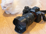 ソニー「α7R VI」は遠くの猫もトリミングでバチピン！ 高画素と爆速を両立させたおそるべき実力