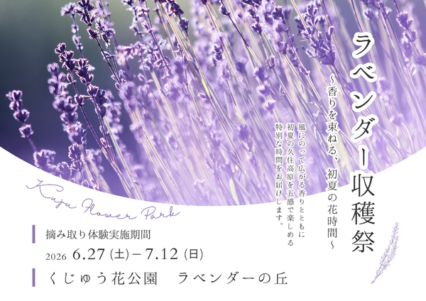 ラベンダーに囲まれながら摘み取り体験は贅沢すぎ！くじゅう花公園で「ラベンダー収穫祭」開催！