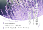 ラベンダーに囲まれながら摘み取り体験は贅沢すぎ！くじゅう花公園で「ラベンダー収穫祭」開催！