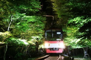 夏に見るもみじもいい感じ♪叡山電鉄の「青もみじのライトアップ」
