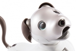 ソニー「aibo」アイボリーホワイト、販売終了へ　サポートは継続