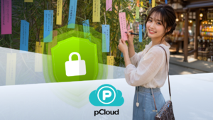 pCloudを使ったら、データ活用が変わった！
