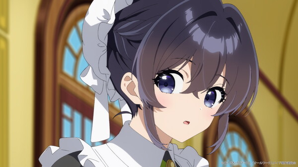 『ヒロイン?聖女?いいえ、オールワークスメイドです(誇)!』