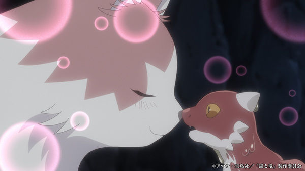 『猫と竜』