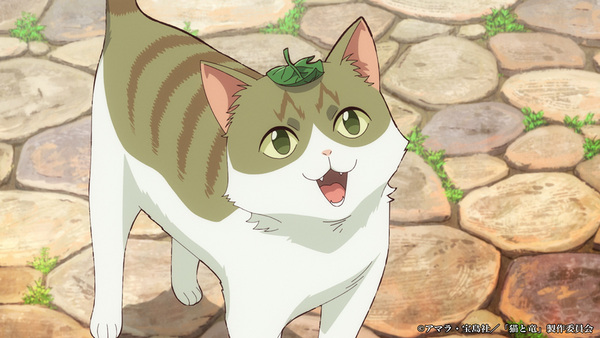 『猫と竜』