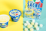 ファミマ限定「サクレ ソルティライチ」と新作サクレグミが7月14日発売！