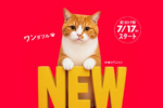 30GBが月額3278円に ワイモバイル「超！おトク割」
