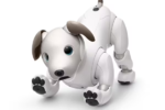 ソニー、研究開発用「aibo」を東大などに貸し出し 将来の製品に活用