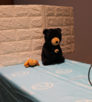 クマとうさぎをAIで見分ける、庭の見守りを作ってみた【SORACOM Discovery 2026 ― IoT プロトタイピングコーナー】