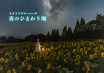 ひまわりとコキアが彩る幻想的な夜！くじゅう花公園の「ナイトフラワーパークSummer〜夜のひまわり畑〜」がロマンティックすぎ