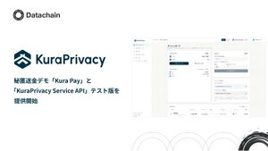 企業向けプライバシー保護基盤のテスト版API
