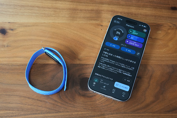 Fitbit Air