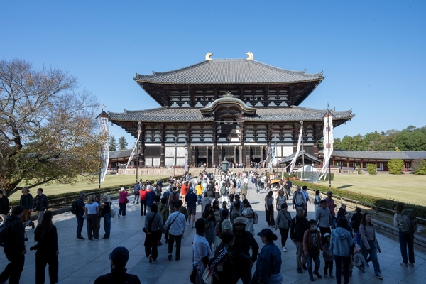 【ならまちエリア】奈良の中心地でみん芸イベントと人気スポットを巡る街歩き
